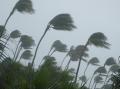 das Bild zu 'windstorm' auf Deutsch