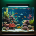 das Bild zu 'aquarium' auf Deutsch