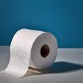 das Bild zu 'a roll of toilet paper' auf Deutsch