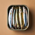 das Bild zu 'a tin of sardines' auf Deutsch