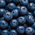 das Bild zu 'blueberry' auf Deutsch
