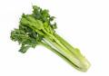 das Bild zu 'celery' auf Deutsch