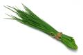 das Bild zu 'chives' auf Deutsch