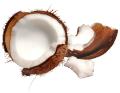 das Bild zu 'coconut' auf Deutsch