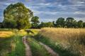 das Bild zu 'country road' auf Deutsch