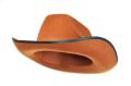 das Bild zu 'cowboy hat' auf Deutsch