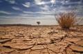 das Bild zu 'drought' auf Deutsch