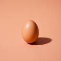 das Bild zu 'egg' auf Deutsch