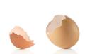 das Bild zu 'egg shell' auf Deutsch