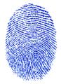 das Bild zu 'fingerprint' auf Deutsch