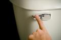 das Bild zu 'flush the toilet' auf Deutsch
