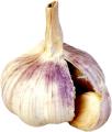 das Bild zu 'garlic' auf Deutsch