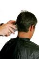 das Bild zu 'haircut' auf Deutsch