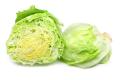 das Bild zu 'iceberg lettuce' auf Deutsch