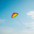 das Bild zu 'kite' auf Deutsch