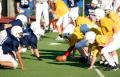 das Bild zu 'line of scrimmage' auf Deutsch