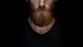 das Bild zu 'llevar barba' auf Deutsch