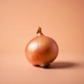 das Bild zu 'onion' auf Deutsch
