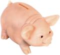 das Bild zu 'piggy bank' auf Deutsch