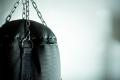 das Bild zu 'punchbag' auf Deutsch