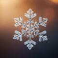 das Bild zu 'snowflake' auf Deutsch