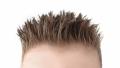 das Bild zu 'spiky hair' auf Deutsch
