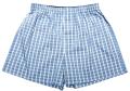 das Bild zu 'undershorts' auf Deutsch