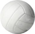 das Bild zu 'volleyball' auf Deutsch